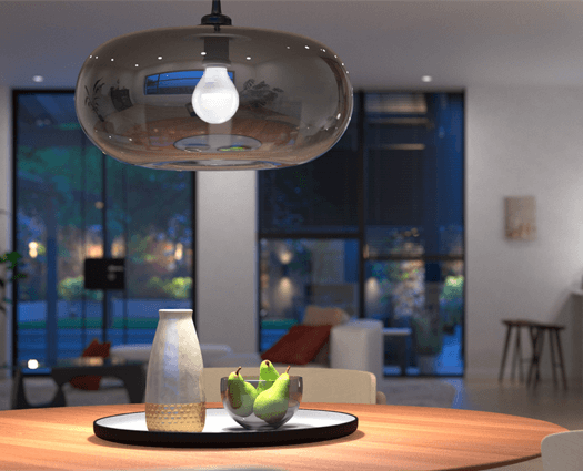 den led bulb